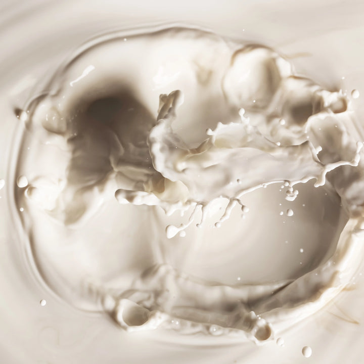 “Diet plan cut 4-12 weeks