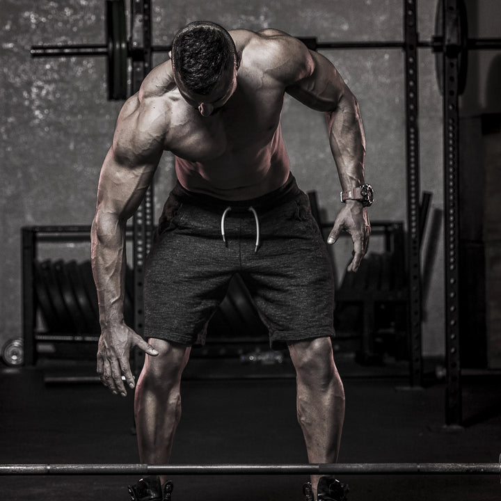 “KRACHTTRAININGSPROGRAMMA'S VOOR GEVORDERDEN 4-12 WEKEN