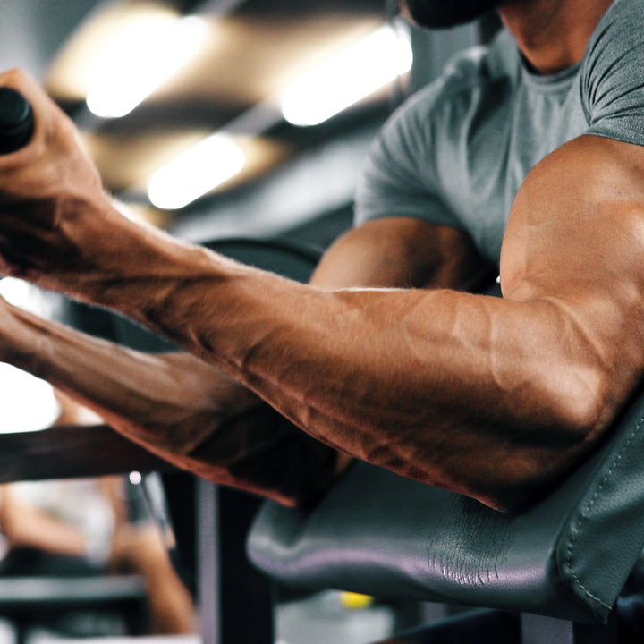 “Krachttrainingsprogramma’s voor beginners 4-12 weken